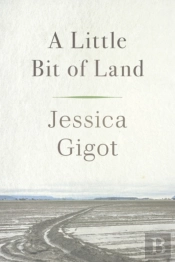 A Little Bit Of Land