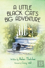 A Little Black Cat'S Big Adventure