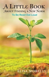 A Little Book About Finding A New Norm