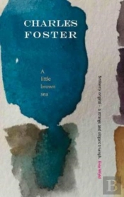 A Little Brown Sea