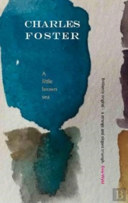 Bertrand.pt - A Little Brown Sea