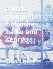 A Little Clump Of Bulrushes, Haiku And Senryu