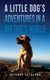 A Little Dog'S Adventures In A Big Dog'S World