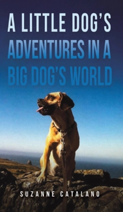 Bertrand.pt - A Little Dog'S Adventures In A Big Dog'S World