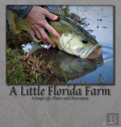 Bertrand.pt - A Little Florida Farm