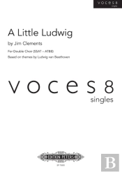 A Little Ludwig