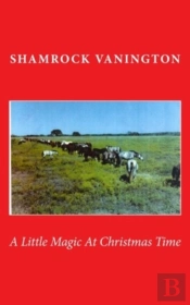 A Little Magic At Christmas Time