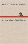 A Little Maid Of Old Maine