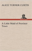 A Little Maid Of Province Town