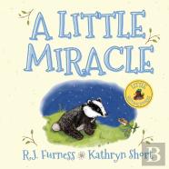 A Little Miracle