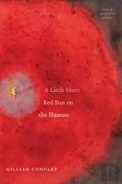 A Little More Red Sun On The Human