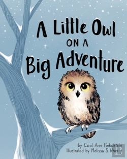 Bertrand.pt - A Little Owl On A Big Adventure