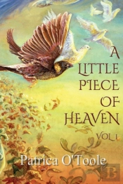 A Little Piece Of Heaven - Vol 1