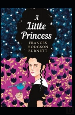 Bertrand.pt - A Little Princess Illustrated