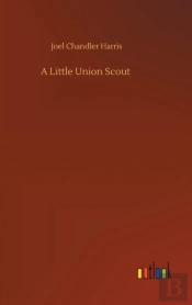 A Little Union Scout