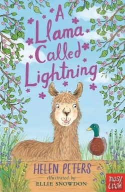 Bertrand.pt - A Llama Called Lightning