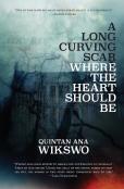 A Long Curving Scar Where The Heart Should Be
