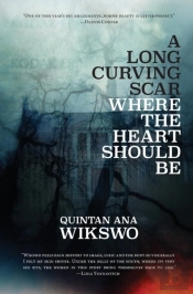 A Long Curving Scar Where The Heart Should Be