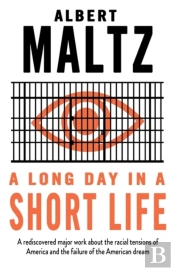 A Long Day In A Short Life