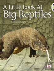 A Look At Reptiles (Blue B) Nf 6-Pack