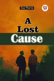 A Lost Cause (Edition2024)