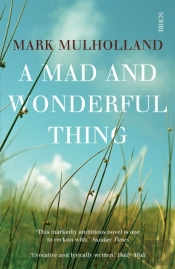 A Mad And Wonderful Thing