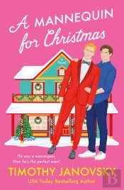 A Mannequin For Christmas