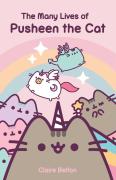 A Many Lives Of Pusheen The Cat