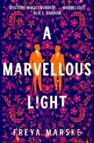 A Marvellous Light
