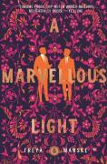 A Marvellous Light