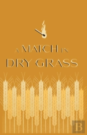 A Match In Dry Grass