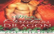 A Mate For The Christmas Dragon
