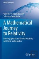 A Mathematical Journey To Relativity