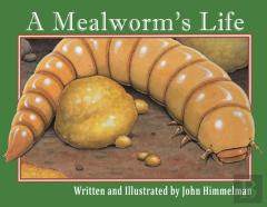 A Mealworm'S Life
