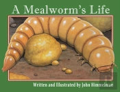 A Mealworm'S Life
