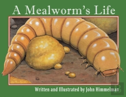 Bertrand.pt - A Mealworm'S Life