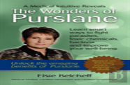 A Medical Intuitive Reveals The Wonders Of Purslane