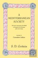 A Mediterranean Society, Volume Vi