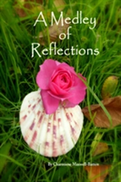 A Medley Of Reflections