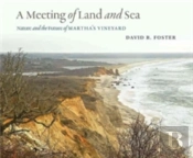 A Meeting Of Land And Sea