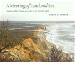 Bertrand.pt - A Meeting Of Land And Sea