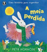 A Meia Perdida