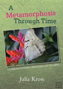 Bertrand.pt - A Metamorphosis Through Time