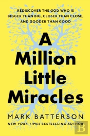A Million Little Miracles