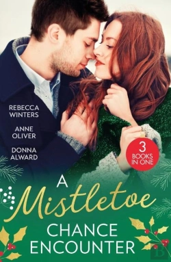 Bertrand.pt - A Mistletoe Chance Encounter