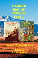 A Mixed Bag Of Novels Part A