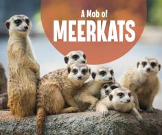 A Mob Of Meerkats