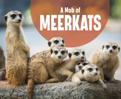 Bertrand.pt - A Mob Of Meerkats