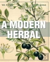 A Modern Herbal (Volume 2, I-Z And Indexes)