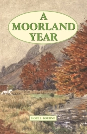 A Moorland Year